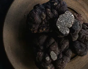 Truffles and Mushrooms
